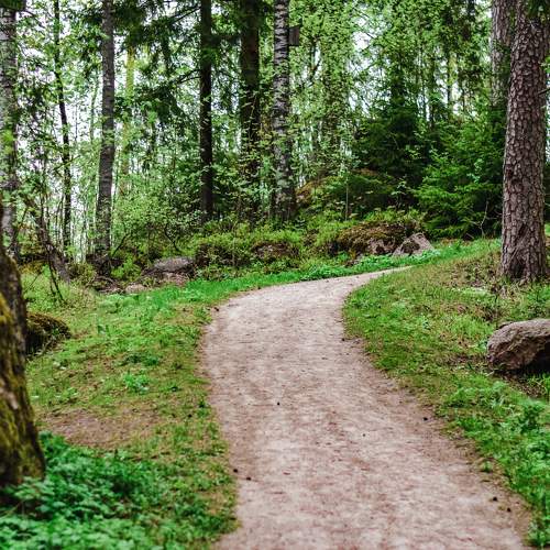 Photo #9428533