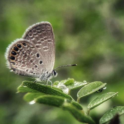 Photo #9429005
