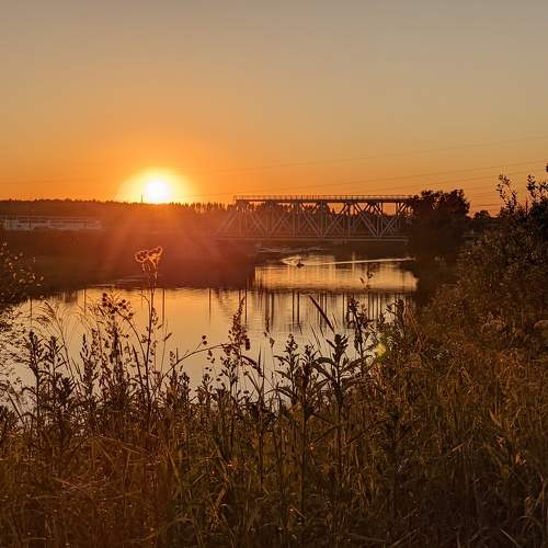 Photo #9430421