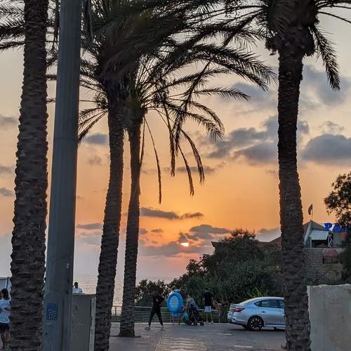 Photo #9430503