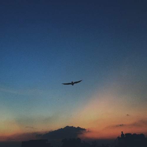 Photo #9430655