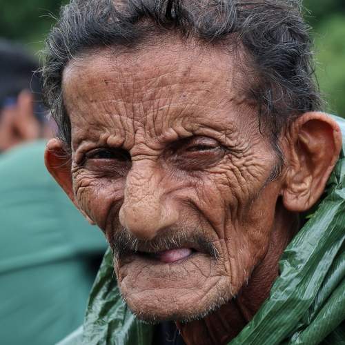 Photo #9431061
