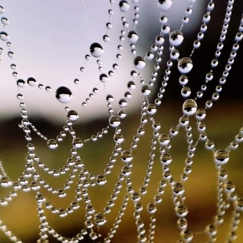 Photo #9431077