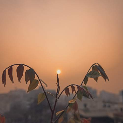 Photo #9431108