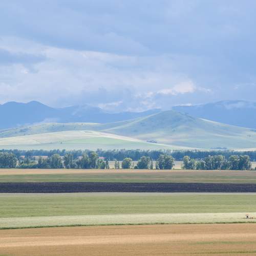 Photo #9431355