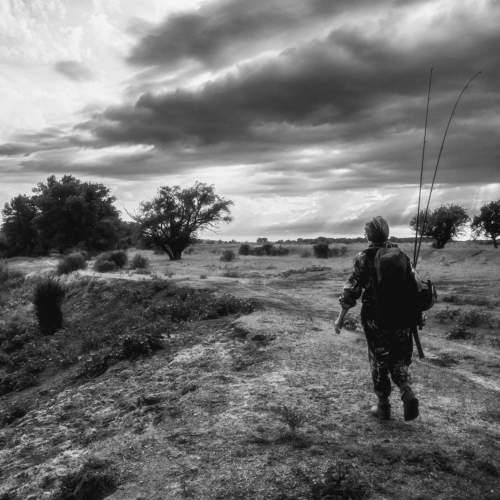 Фотография #9431407