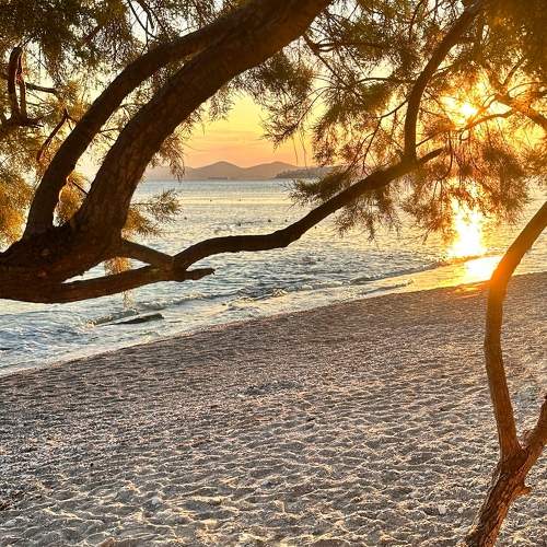 Golden hour