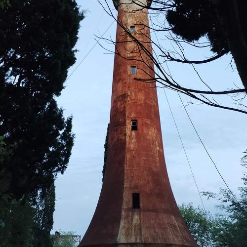 Photo #9431785