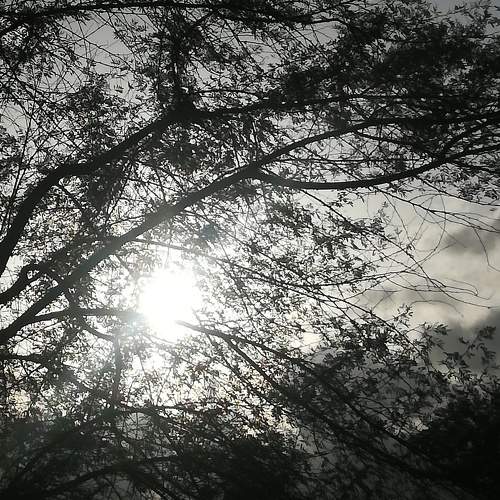 Photo #9432260