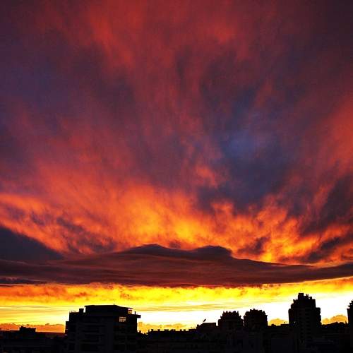 Photo #9432311
