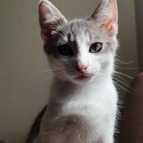 Photo #9432351