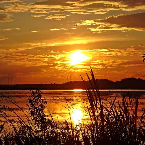 Photo #9432355