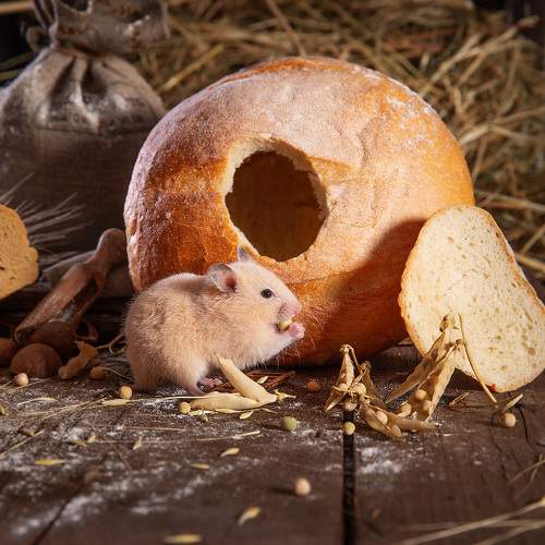 Photo #9432407