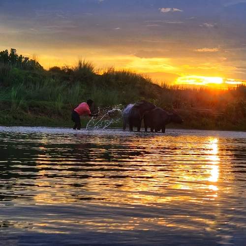Photo #9433128