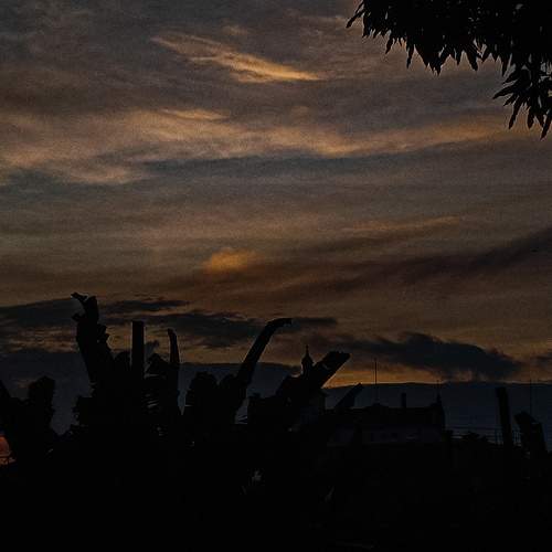 Photo #9433165