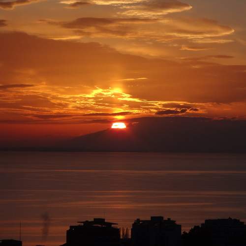 Photo #9433318