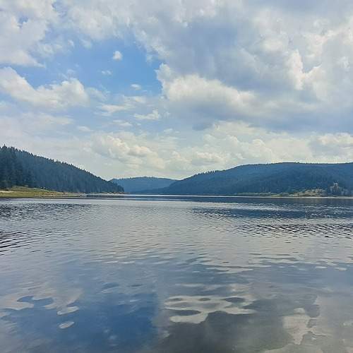 Photo #9433352