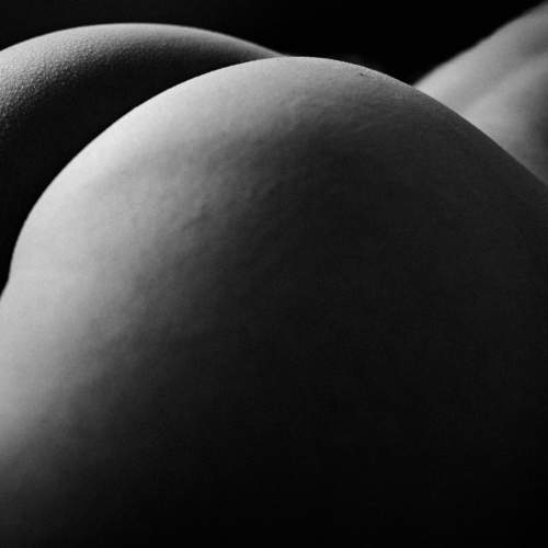 Photo #9433411