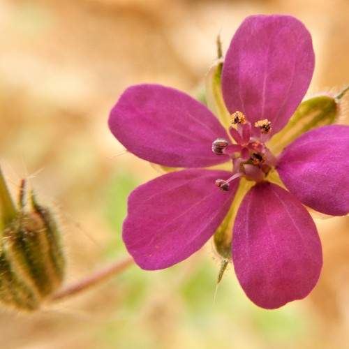 Photo #9433629