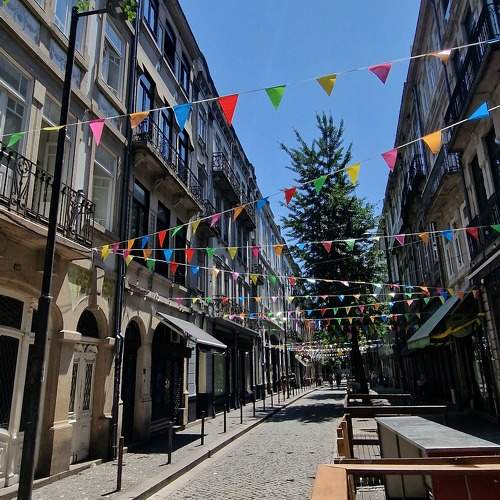 Photo #9433687