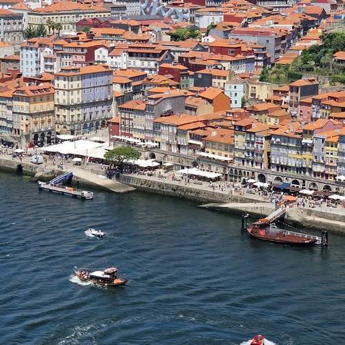 Photo #9433696
