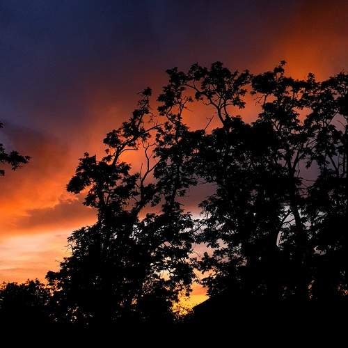 Photo #9433717