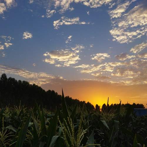 Photo #9433859