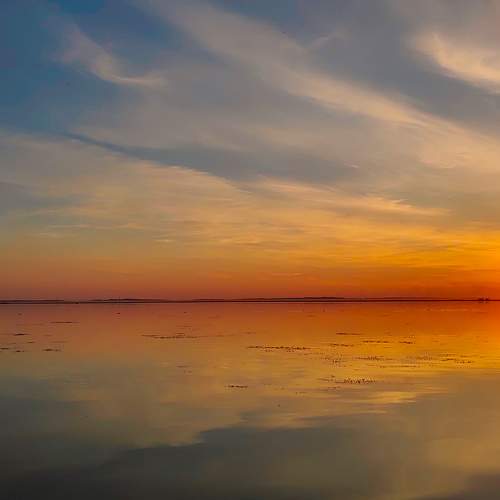 Photo #9434307