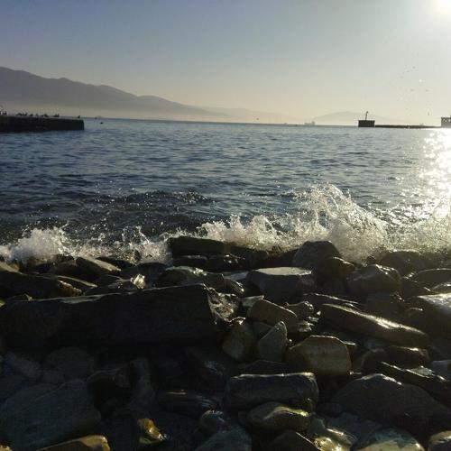 Photo #9434983