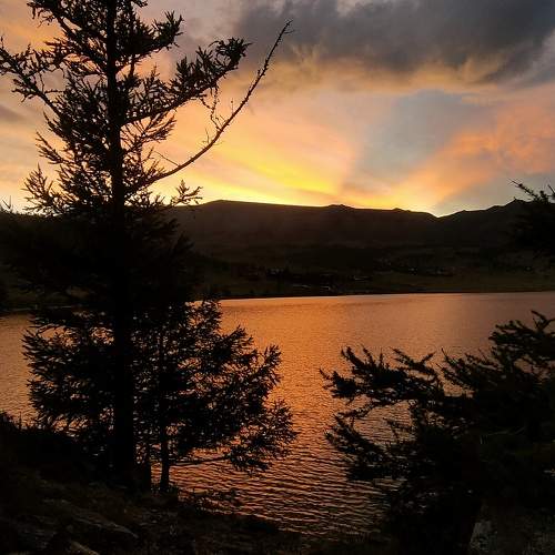 Photo #9435182