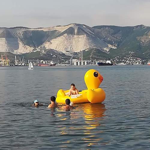 Photo #9435263