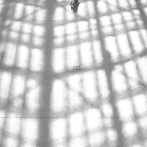 Photo #9435305