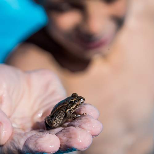 Photo #9435702