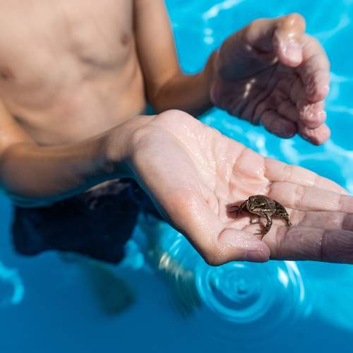 Photo #9435703