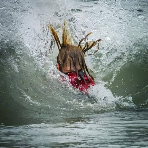 Photo #9435862