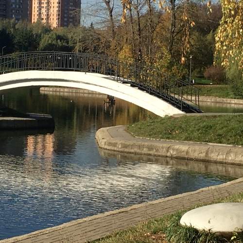 Photo #9436360