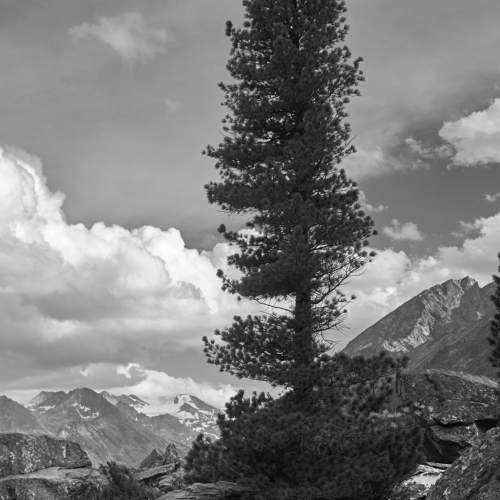 Photo #9436615
