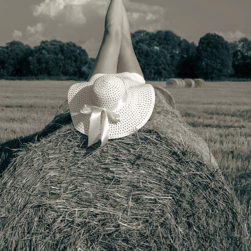 Photo #9436895