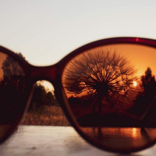 Photo #9436924