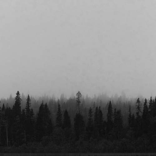 Photo #9436966