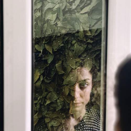 Photo #9437289