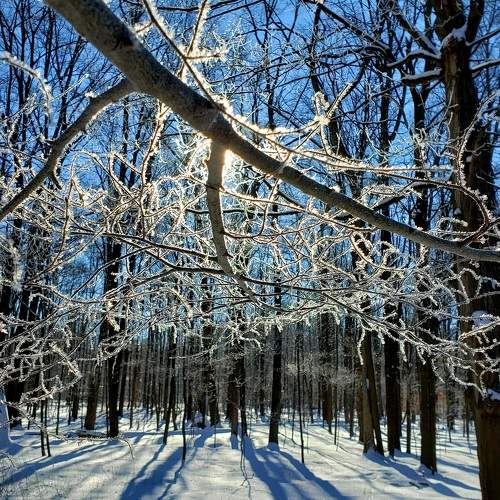 Photo #9437430