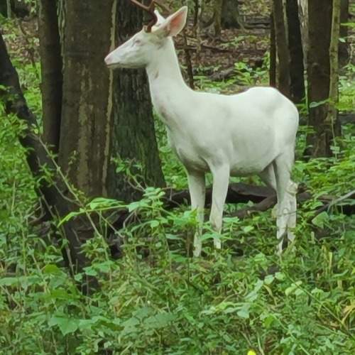 Photo #9437446