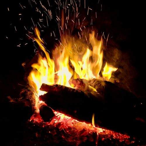 Photo #9438228