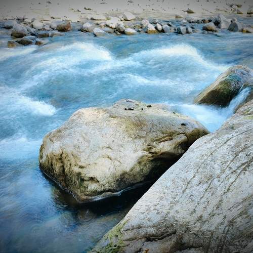 Photo #9438620