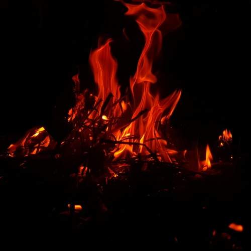 Photo #9438624