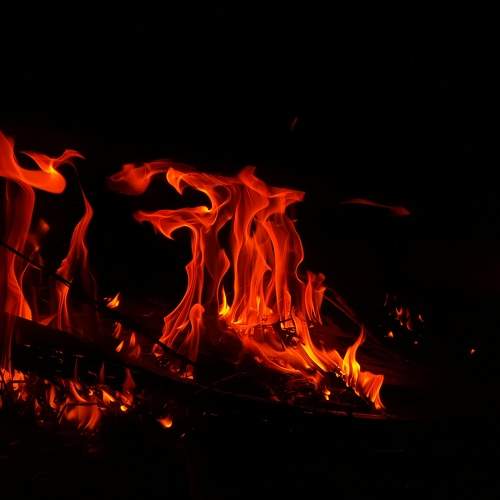 Photo #9438626