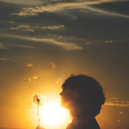 Photo #9438724