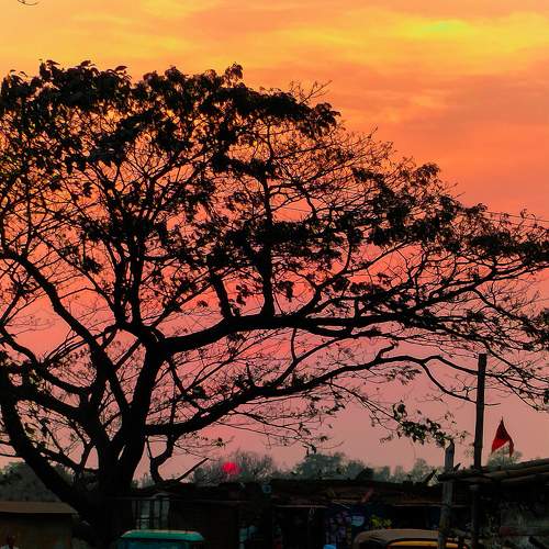 Photo #9438740