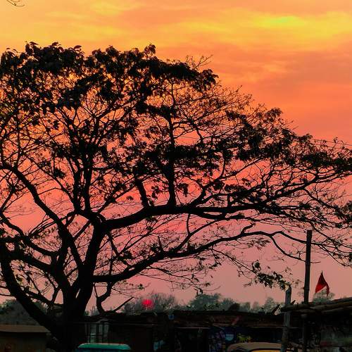 Photo #9438749